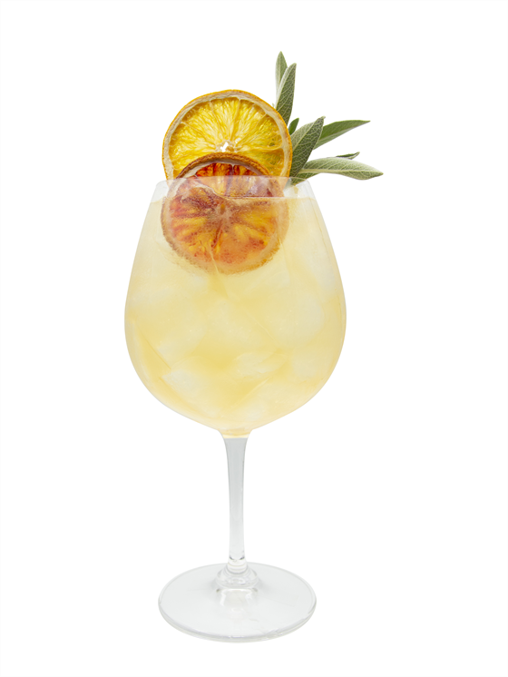 Winter Citrus Spritz Kokteyl