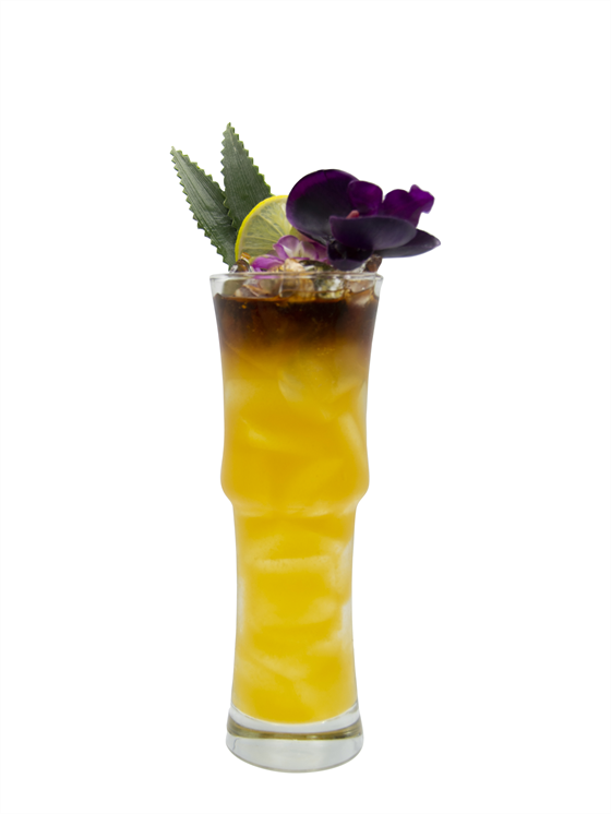 Tropical Kombucha Kokteyl