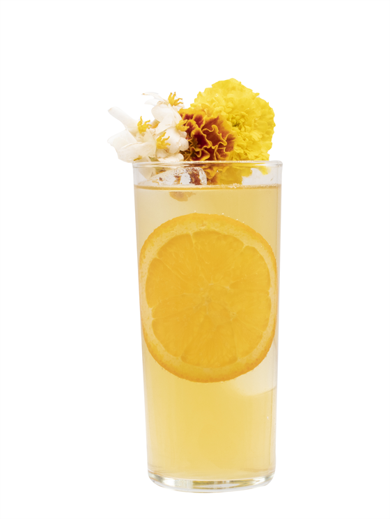 Honey Jasmine Highball Kokteyl