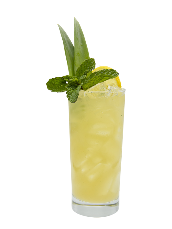 Pineapple Citrus Kombucha Alkolsüz Kokteyl