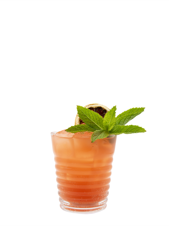 Blood Orange Kombucha Alkolsüz Kokteyl