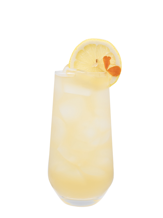 Zenshine Cooler Alkolsüz İçecek
