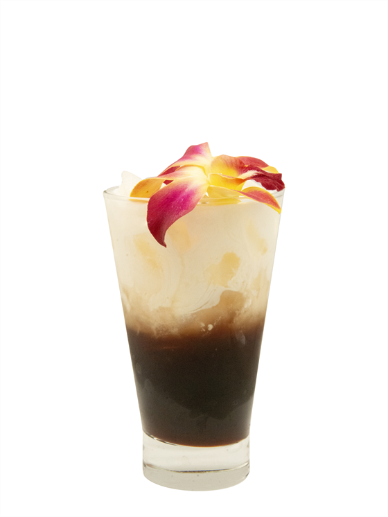 Sparkling Hibiscus Cold Brew Soğuk Kahve