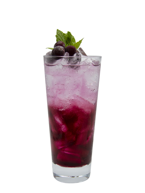 Desert Cranberry Boost Alkolsüz Kokteyl