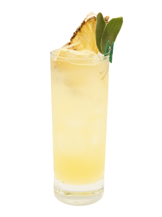 Pineapple Sage Brush Kokteyl
