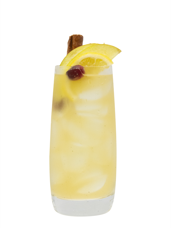 Harvest Punch Alkolsüz Kokteyl