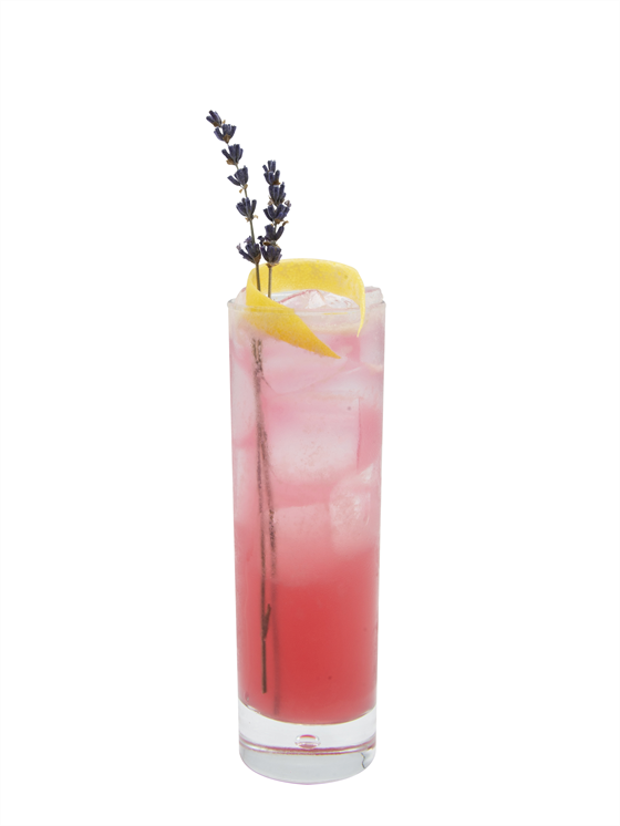 Lavender Hibiscus Highball Alkolsüz Kokteyl