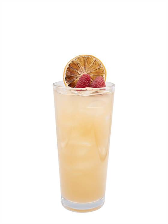Sugar Free Raspberry Shrub Alkolsüz Kokteyl