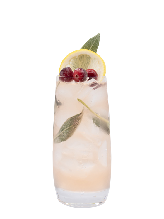 Hydrating Cranberry Shrub Alkolsüz Kokteyl
