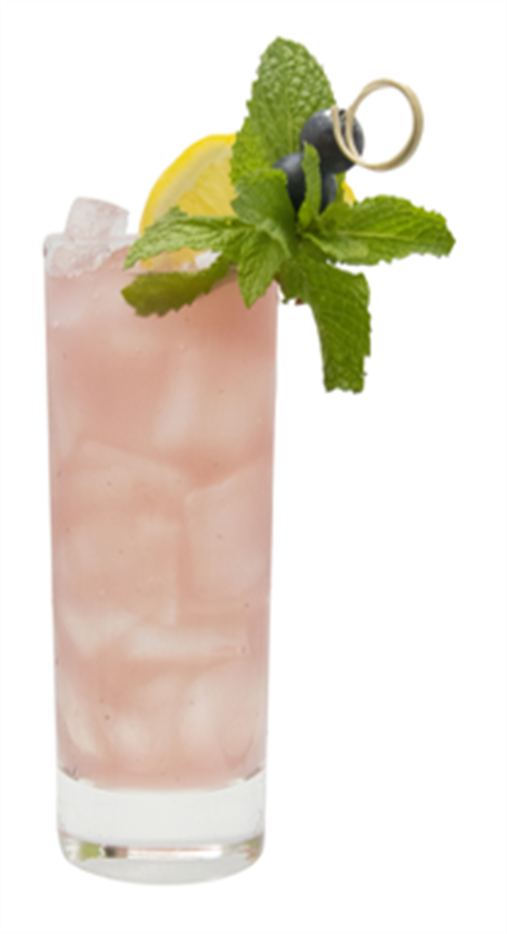 Berry Tonic Alkolsüz Kokteyl