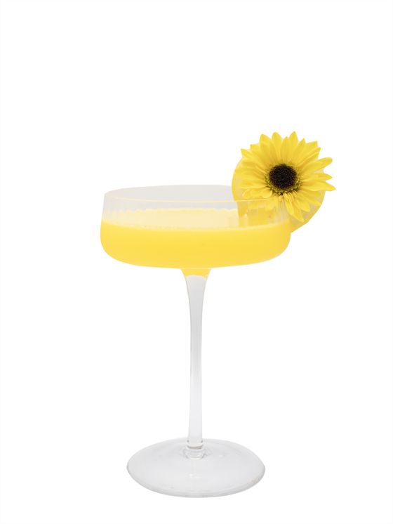 Tequila Daisy Kokteyl