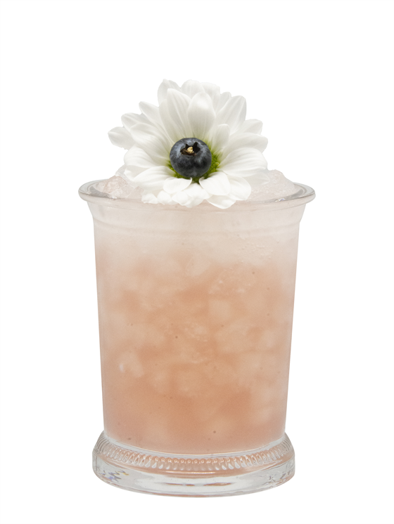Blueberry Daisy Kokteyl