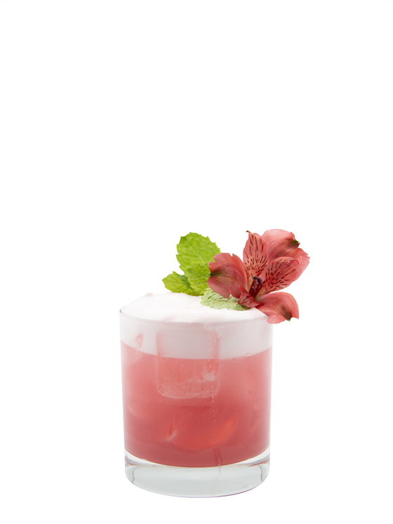 Hibiscus Guilt-Free Sour Alkolsüz Kokteyl