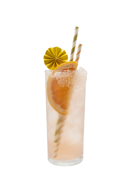 Cranberry Paloma Kokteyl