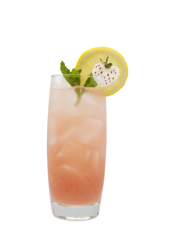 Pineberry Handcrafted Soda Alkolsüz Kokteyl