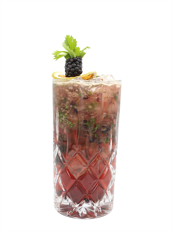 Blackberry Jungle Kokteyl