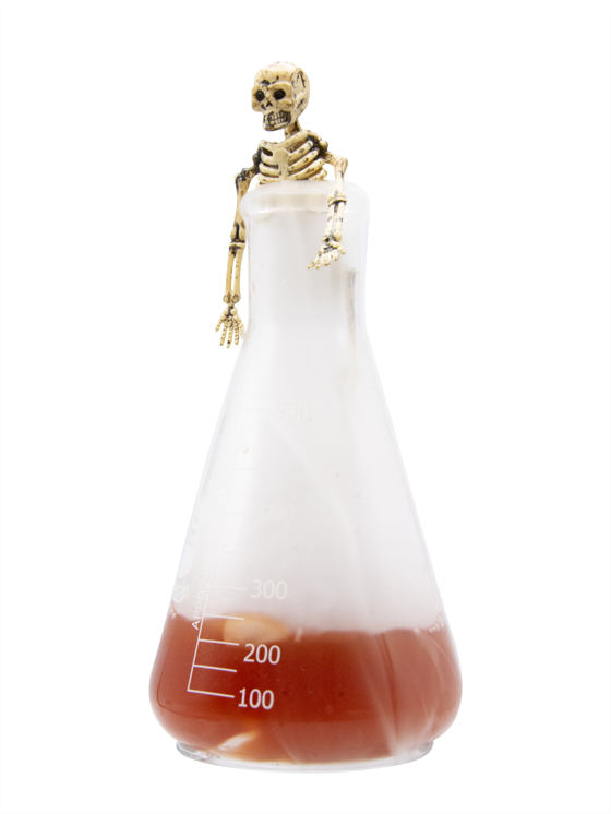 Wicked Punch Kokteyl
