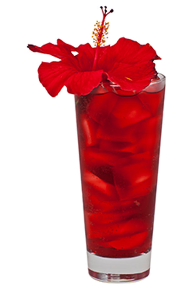 Hibiscus Strawberry Soda Alkolsüz Kokteyl