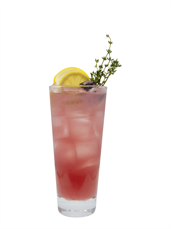 Down-thyme Lemonade Alkolsüz İçecek