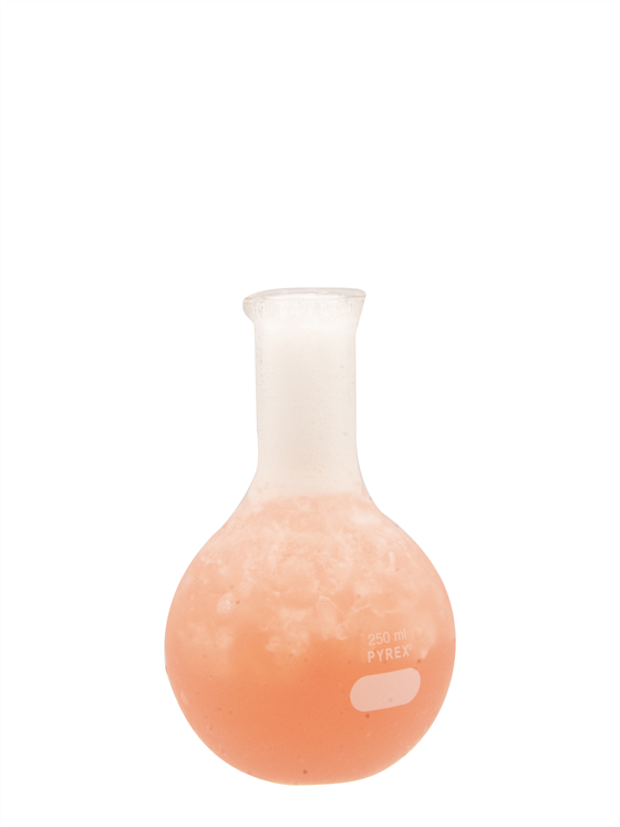 Fizzy Potion Alkolsüz Kokteyl