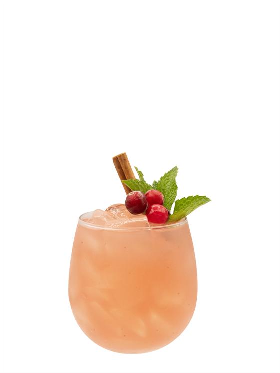 Spiced Cranberry Punch Mocktail Alkolsüz Kokteyl