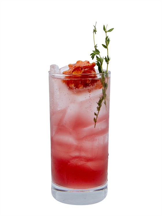 Jamaica Shrub Kokteyl