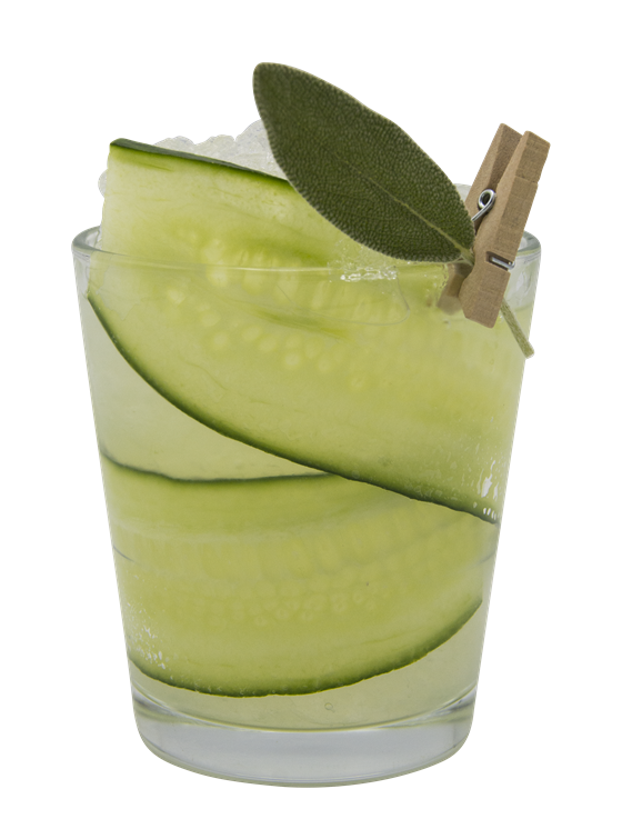 Winter Refresh Kokteyl