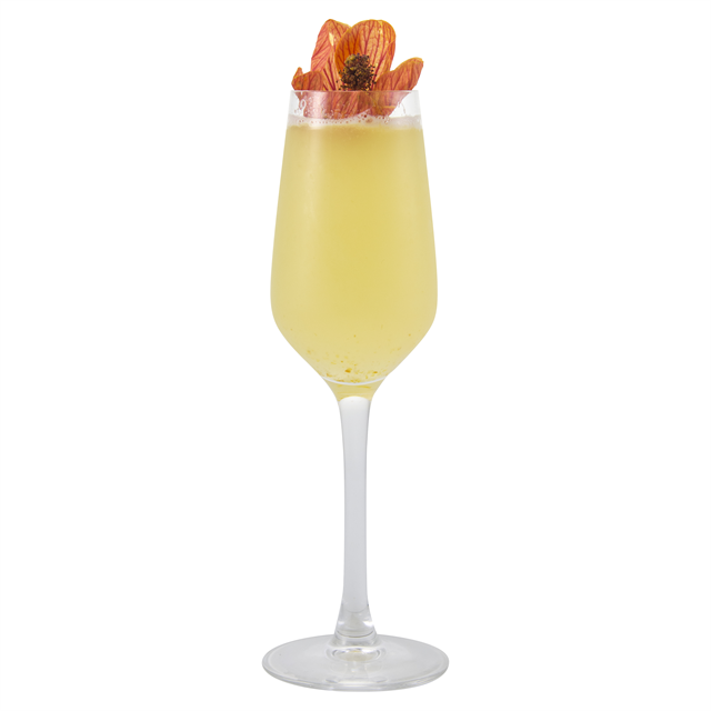 Elderflower Champagne Kokteyl