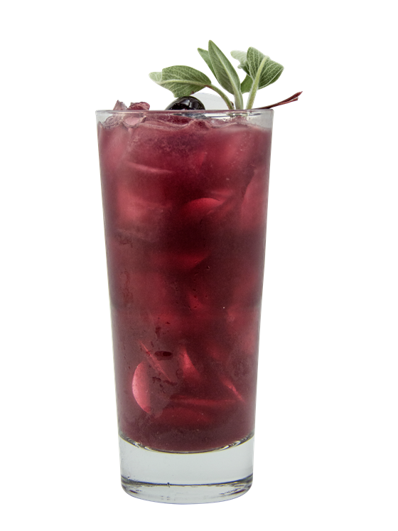 Black Cherry Sage Sour Kokteyl