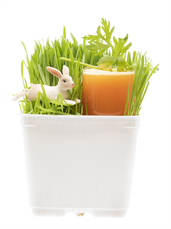 BUNNY HOP Alkolsüz Kokteyl