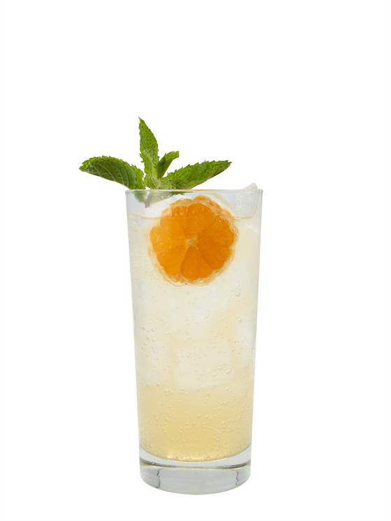Orange Tangerine Refresher Alkolsüz Kokteyl