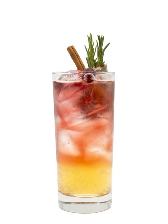 Spiced Cranberry Fizz Alkolsüz Kokteyl