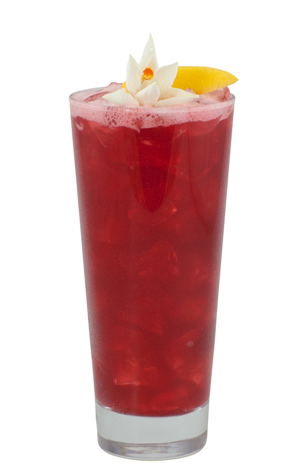 Blood Orange Whiskey Kokteyl