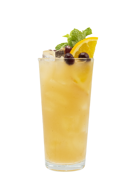 Cranberry Citrus Fizz Alkolsüz Kokteyl