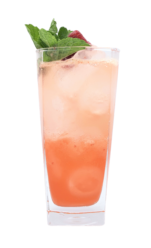 Winter Citrus Spritzer Kokteyl
