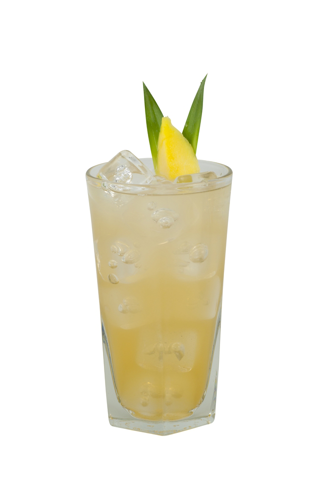 Passion Fruit Lemonade Alkolsüz İçecek