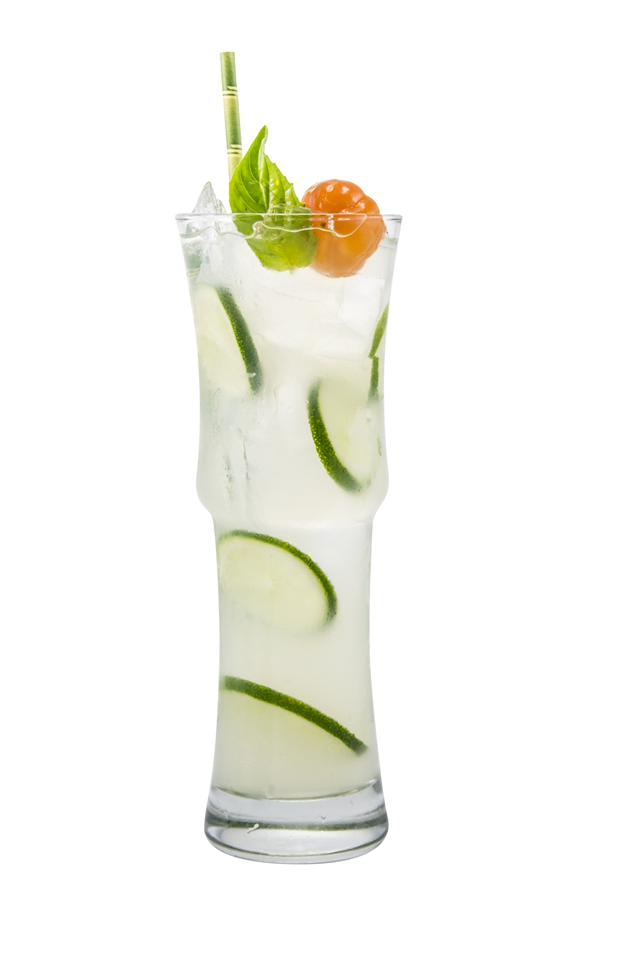 Spicy Cucumber Lime Refresher Alkolsüz Kokteyl