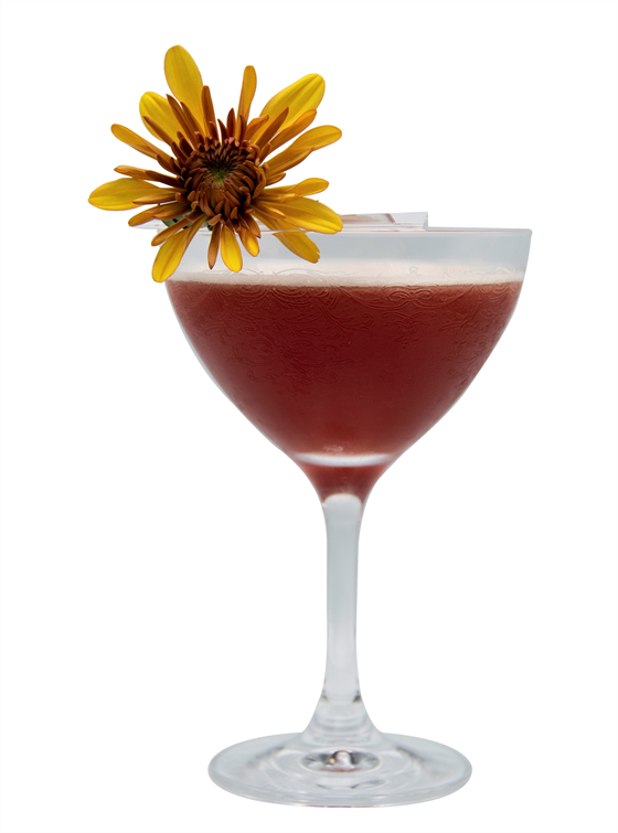Honey Bush Mocktail Alkolsüz İçecek