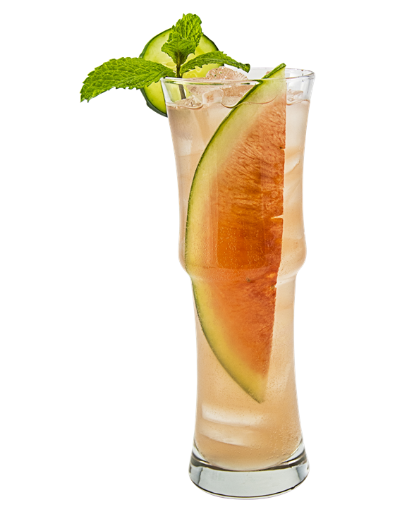 Fresh Watermelon Collins Kokteyl