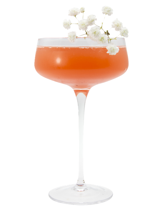 Elderberry Fizz Kokteyl
