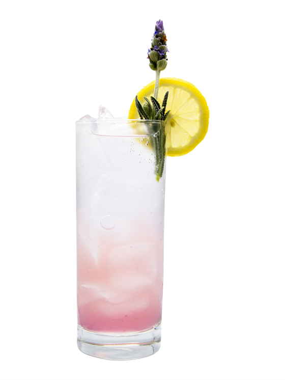 Lavender Gin Bee's Knees Kokteyl