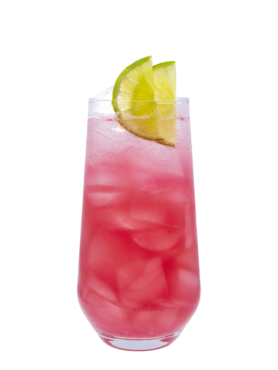 Hibiscus Sparkling Limeade Alkolsüz İçecek