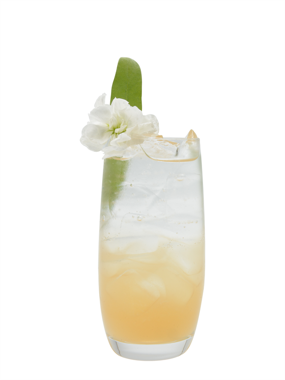 Pistachio Rose Sparkling Lemonade Alkolsüz İçecek