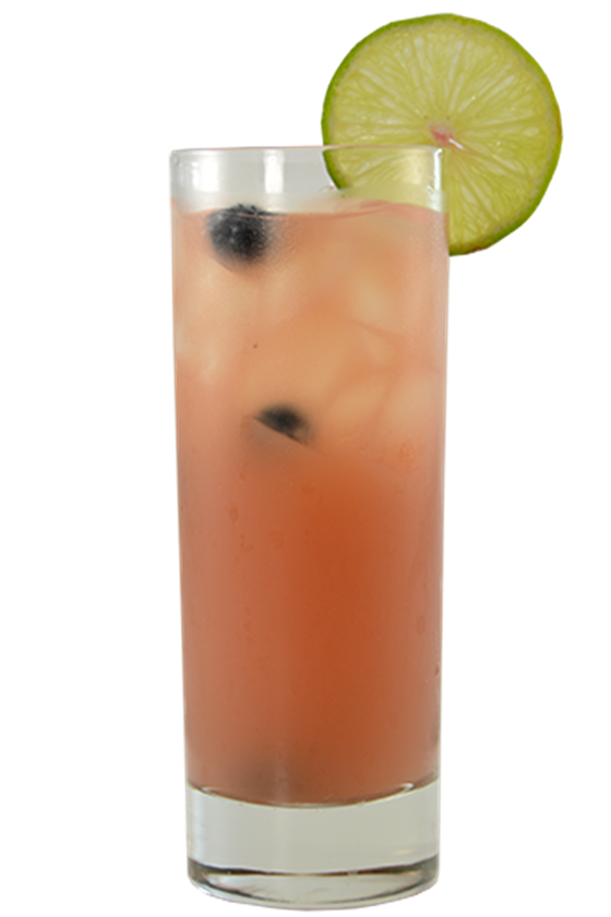 Orange Blueberry Sour Kokteyl