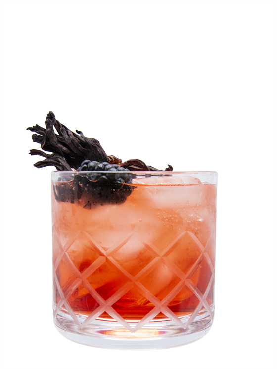 Hibiscus Spritz Kokteyl