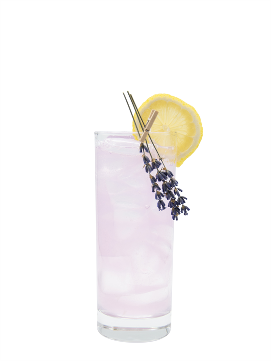 Lavender Gin Fizz Kokteyl