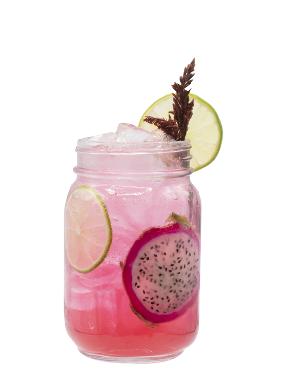 Dragonfruit Fresca Alkolsüz Kokteyl