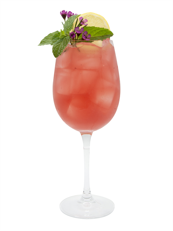 Hibiscus Kombucha Spritz Alkolsüz Kokteyl