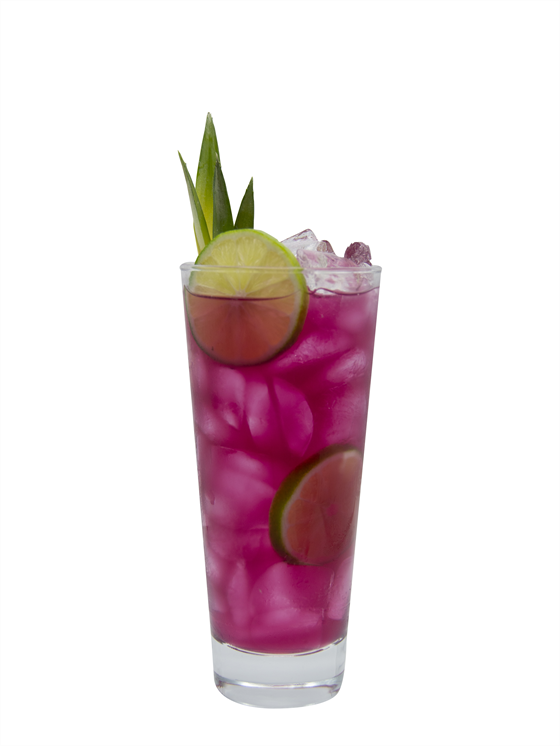 Desert Pear Pineapple Kombucha Alkolsüz Kokteyl