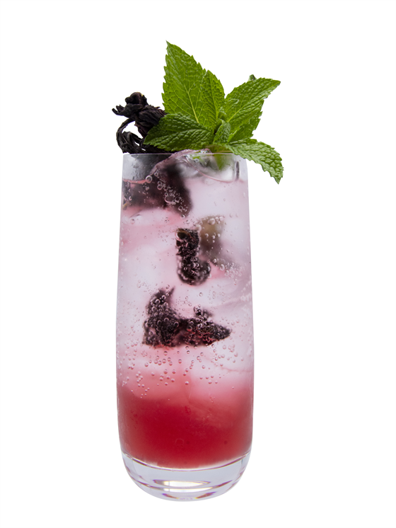 Hibiscus Jalapeno Spritzer Alkolsüz Kokteyl